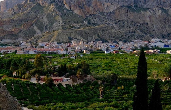 La Joya del Valle de Ricote - Foto 35