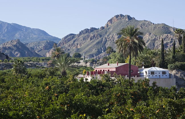 La Joya del Valle de Ricote - Foto 1