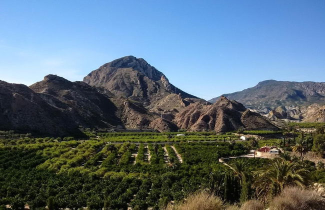 La Joya del Valle de Ricote - Foto 48