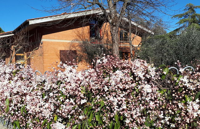 Family Friendly Villa Giulia With Pool - Photo 14