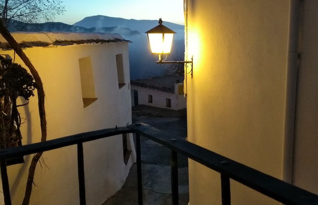 Castaño Real - Foto 18