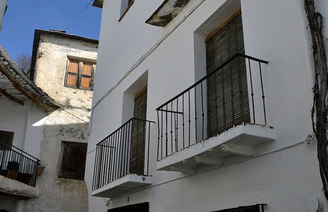 Castaño Real - Foto 16