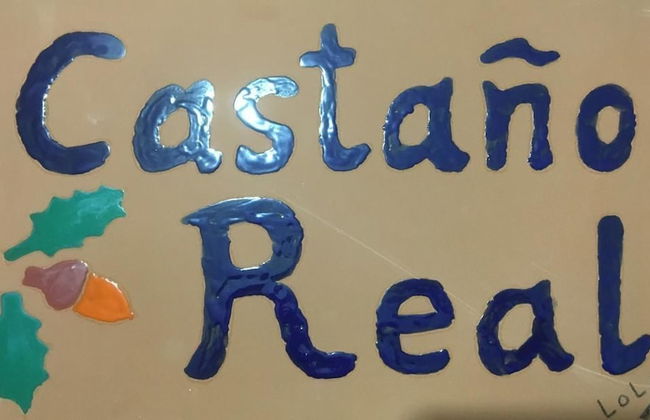 Castaño Real - Foto 21