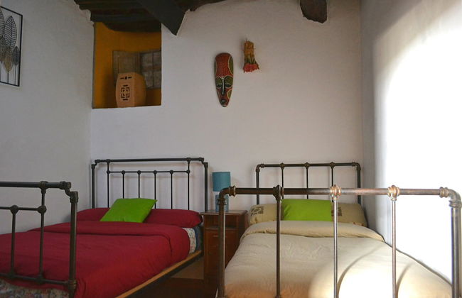 Castaño Real - Foto 2