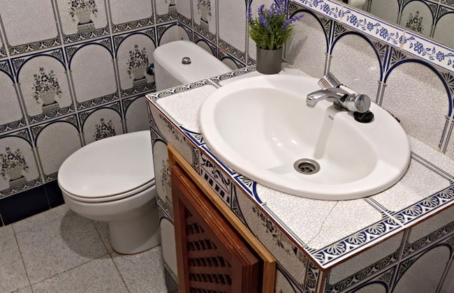 Castaño Real - Foto 10