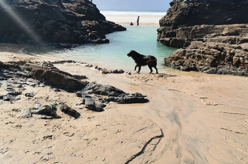 Foto 44 - Captivating Isolde Cottage, With Pool Near St Ives