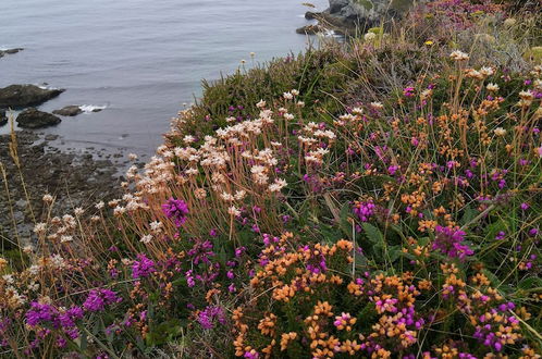 Photo 36 - Captivating Isolde Cottage, With Pool Near St Ives