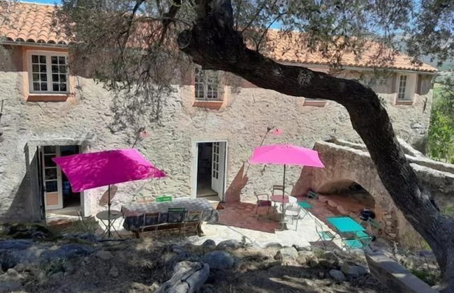 Moulin de l'Ostriconi - Foto 53