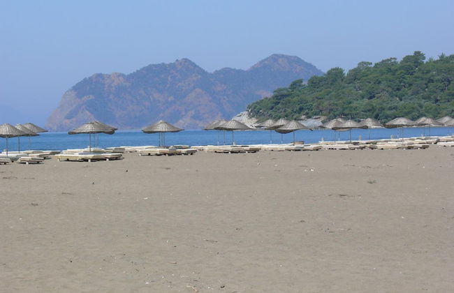 Minta Apart - Photo 48