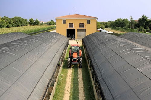 Foto 44 - Agriturismo Il Melograno