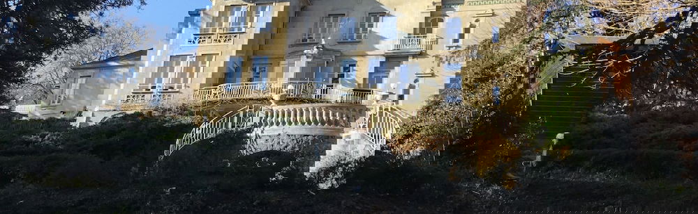Primary image