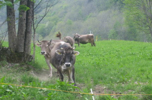 Photo 7 - Agriturismo Alagna