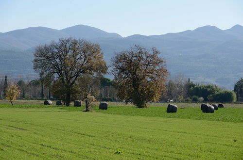 Foto 59 - Agriturismo Lustrinu