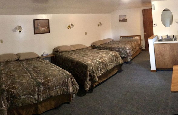 Tenderfoot Cabins & Motel - Foto 33