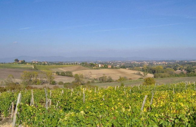 Tenuta S. Agnese - Foto 51