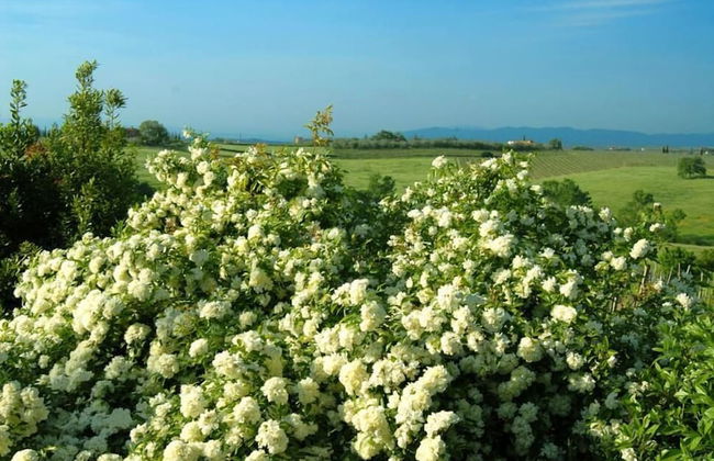 Tenuta S. Agnese - Foto 45