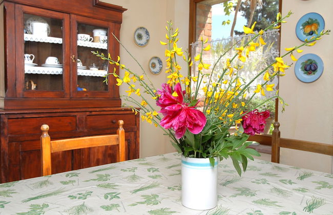 Tenuta S. Agnese - Foto 10