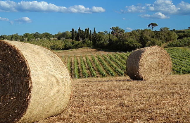 Tenuta S. Agnese - Foto 38