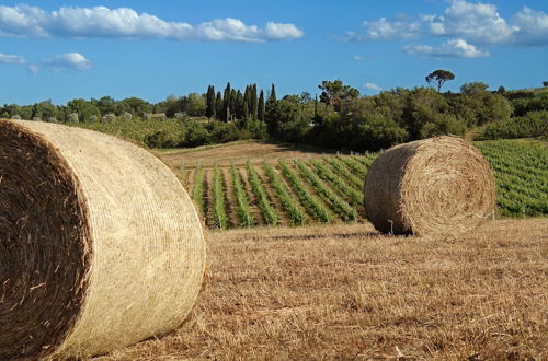 Photo 38 - Tenuta S. Agnese