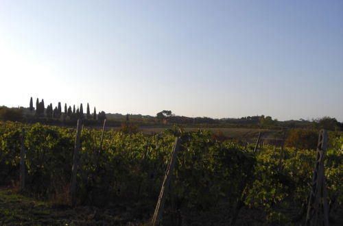 Photo 47 - Tenuta S. Agnese