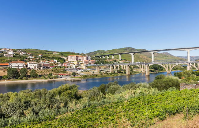 Casa de Monsanto I Lamego - Foto 64