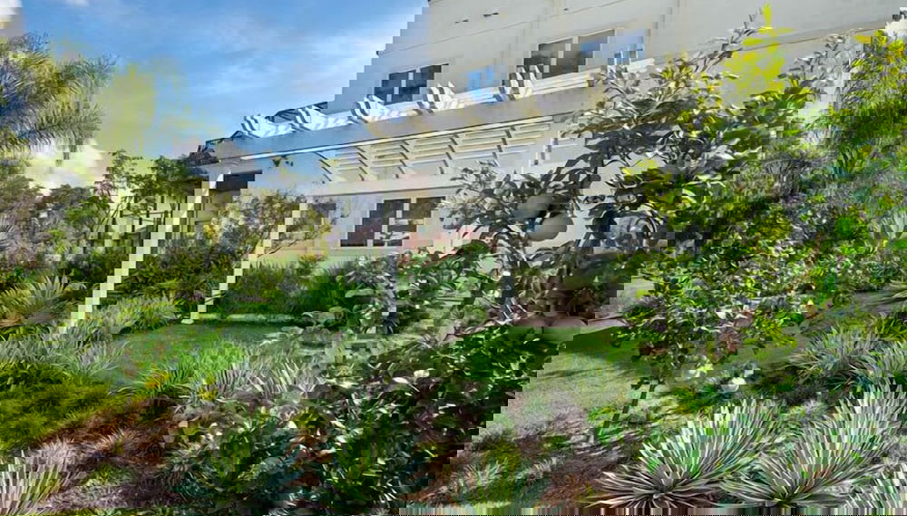 Imagem principal