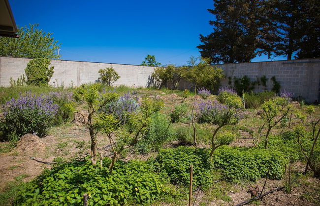 Agriturismo biologico Piccapane - Foto 22