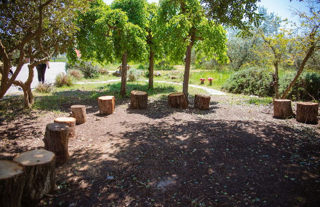 Agriturismo biologico Piccapane - Foto 25