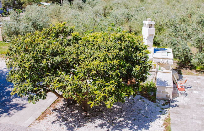 Agriturismo biologico Piccapane - Foto 1