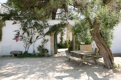 Photo 46 - Masseria Nanni