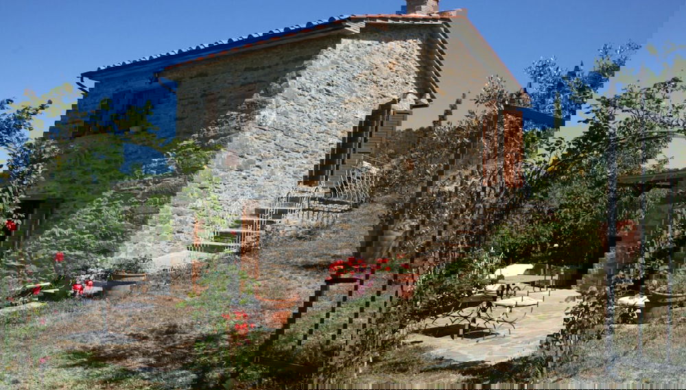 Primary image