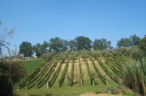 Foto 44 - Agriturismo Il Vecchio Carro