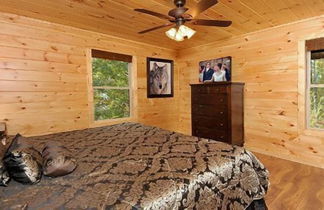 Foto 3 - Dollywood Cabins