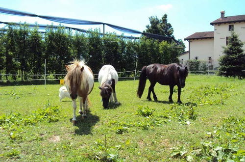 Photo 20 - Agriturismo Ca' Del Ferro