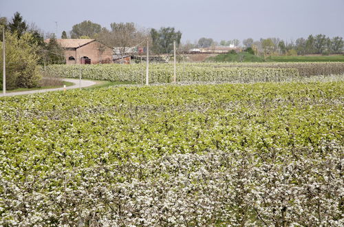 Foto 47 - Agriturismo Dosso al Porto