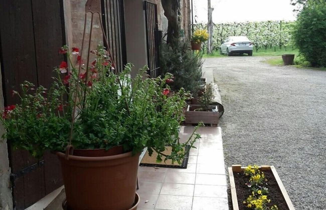 Agriturismo Dosso al Porto - Photo 45