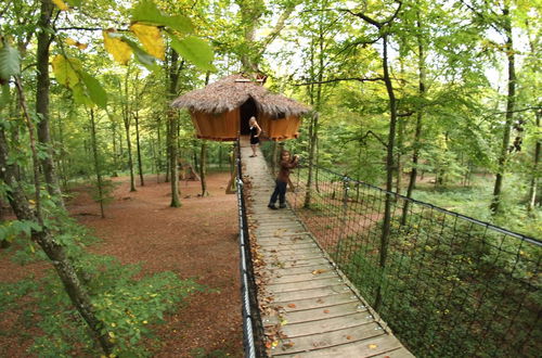 Photo 39 - L'Arbre à Cabane