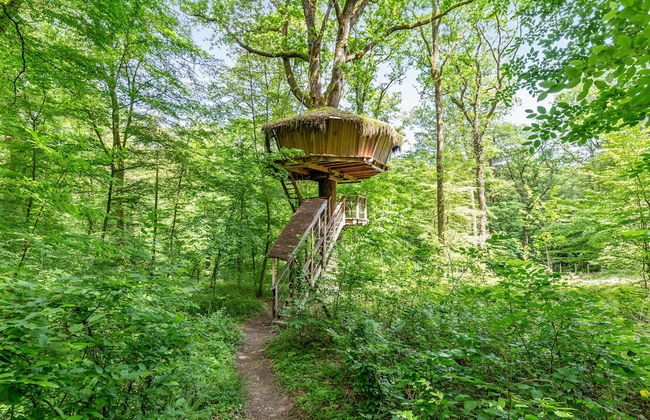 L'Arbre à Cabane - Foto 10