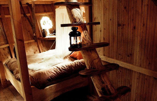 L'Arbre à Cabane - Foto 24