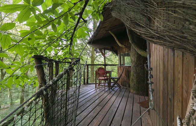 L'Arbre à Cabane - Foto 41