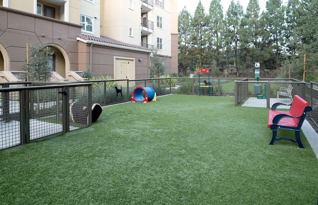 Bluebird Suites in Silicon Valley - Foto 49