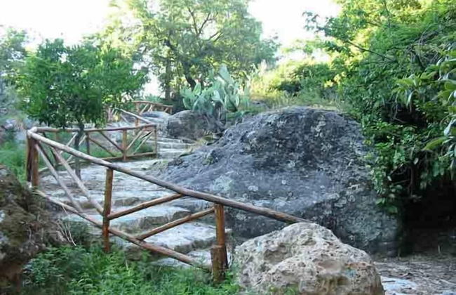 Il Ruscello di Ceraso - Foto 25