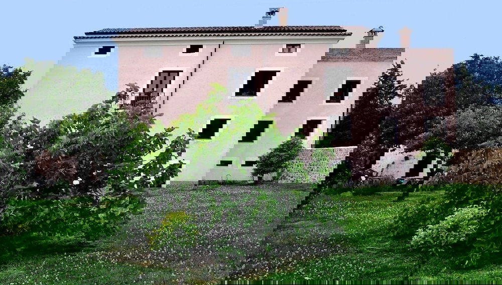 Imagem principal