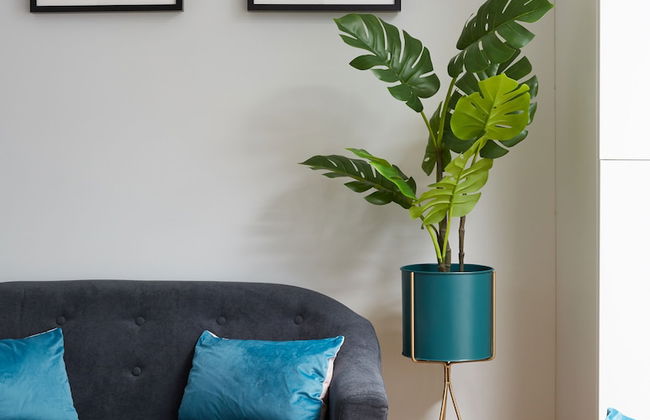 Holborn by Viridian Apartments - Photo 5