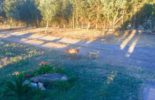 Agriturismo Sogno Latino - Foto 24