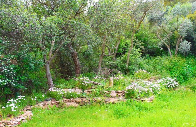 Agriturismo Sogno Latino - Foto 26