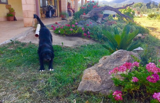 Agriturismo Sogno Latino - Foto 27