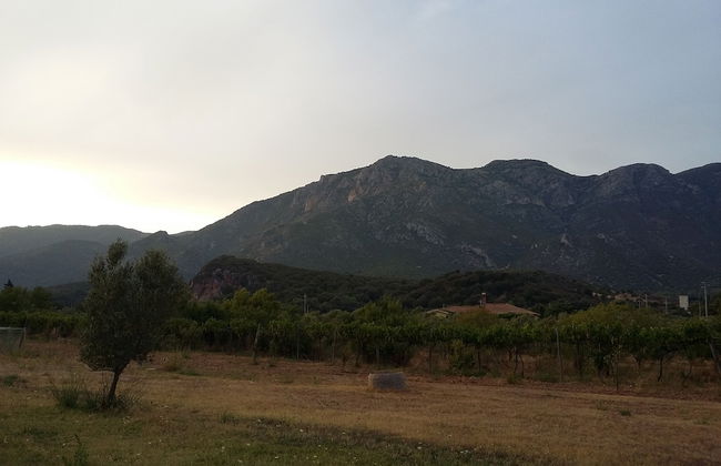 Agriturismo Sogno Latino - Foto 33