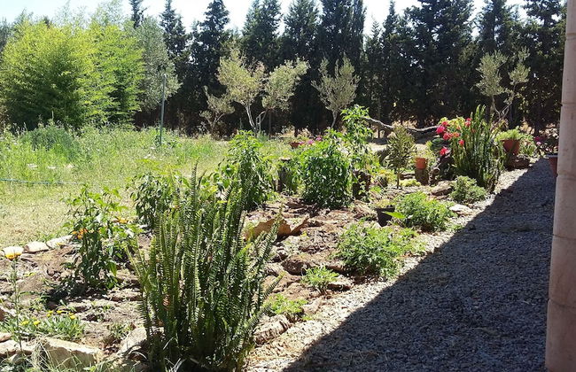 Agriturismo Sogno Latino - Foto 31