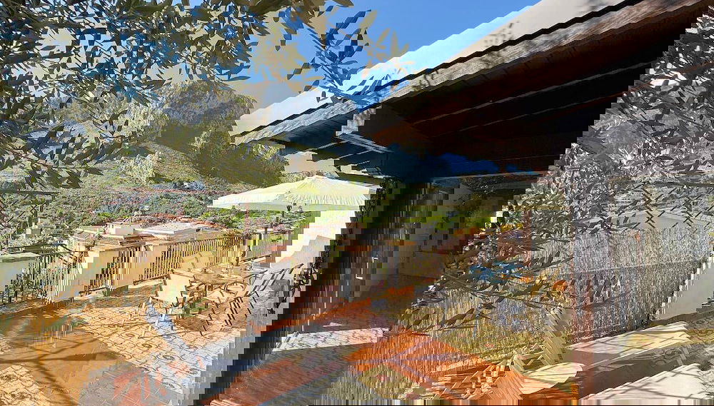 Imagem principal